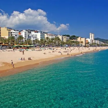 Apartment- Grau Lloret de Mar